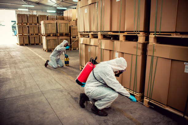 Best Local Pest Control Services  in Atkins, AR