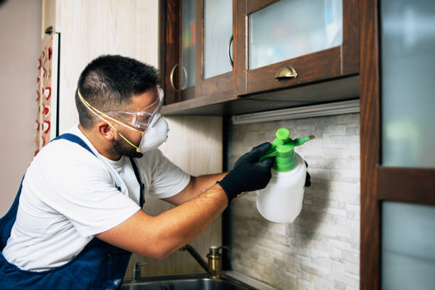 Best Flea Control Services  in Atkins, AR