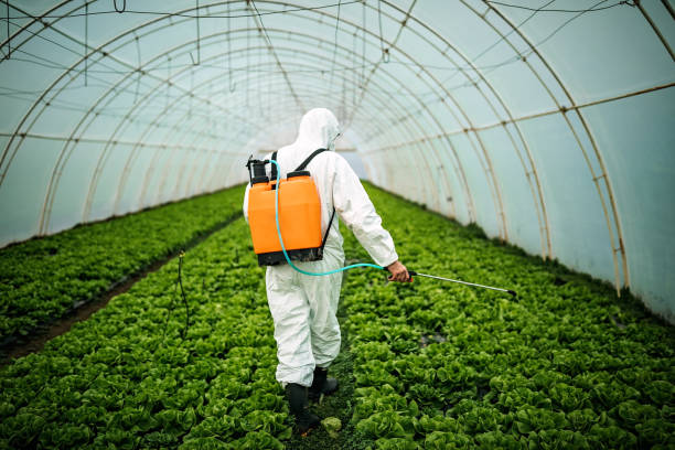 Best Commercial Pest Control Services  in Atkins, AR
