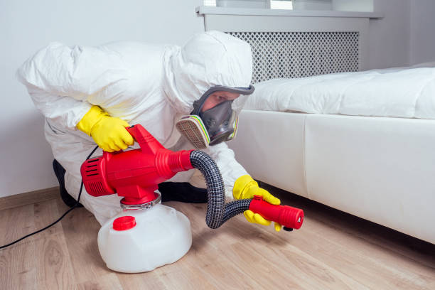 Best Exterminator Services  in Atkins, AR