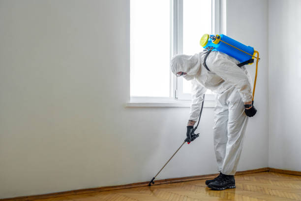 Best Affordable Pest Control Services  in Atkins, AR