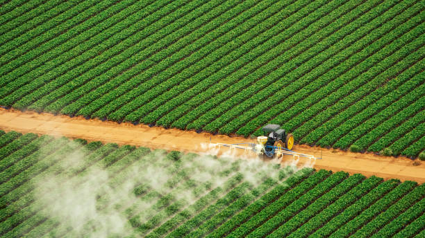 Best Insect Control  in Atkins, AR