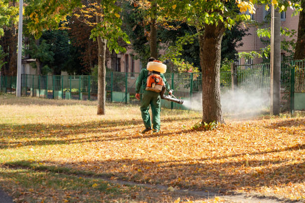 Professional Pest Control in Atkins, AR