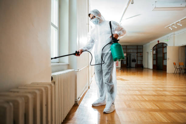 Best Pest Removal Services  in Atkins, AR