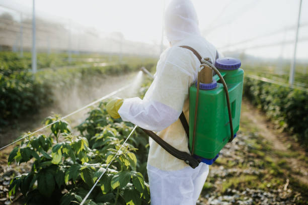 Trusted Atkins, AR Pest Control Experts